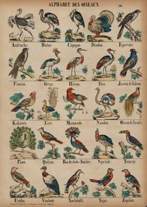 A a Z de aves de French School
