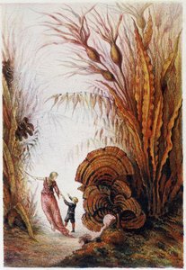 Una mujer y un niño caminando por el mundo submarino - en "Viaje al fondo del mar" de H. de la Blanchère. París, ed. Jouvet et Cie, sd. 1880. de French School