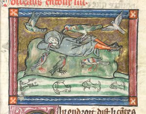 Agregar. 10292, f.29 Un hombre dormido rodeado de pájaros, ilustración de 
