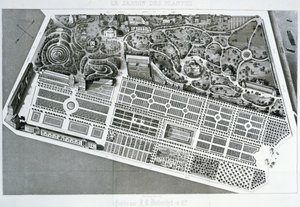 Vista aérea del plan del Jardin des Plantes en París, 1842 de French School