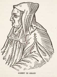 Alberto Magno de French School