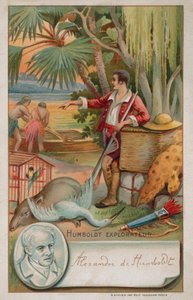Alexander von Humboldt, geógrafo, naturalista y explorador prusiano (1769-1859) de French School
