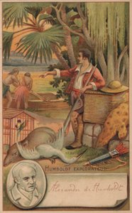 Alexander von Humboldt, geógrafo, naturalista y explorador prusiano de French School