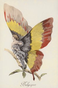 Representación alegórica de Bélgica como mariposa (litografía en color)