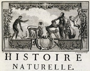 Alegoría de la historia natural sobre los simios - en 