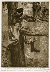 Un francotirador argelino trabajando en el refugio de un bosque, 1914-19