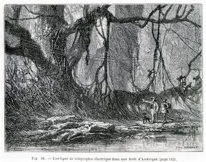 Una línea de telégrafo eléctrico en un bosque americano, c.1870 de French School