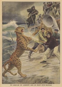 Un jaguar escapado suelto en un barco de French School