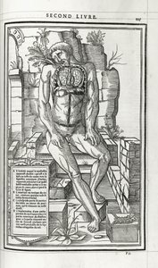 Ilustración anatómica, 1546 de French School