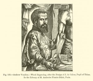 Andrés Vesalio