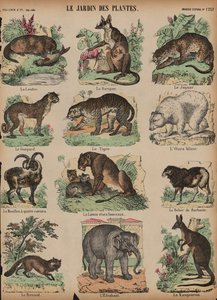 Animales en el Jardin des Plantes, París, Francia de French School