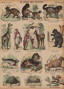 Animales del Jardin des Plantes, París, Francia de French School