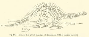 Animales del período jurásico, el brontosaurio de French School