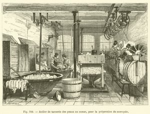 Taller de curtido de pieles con zumaque, para la preparación del marroquín de French School