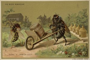 Tarjetas Au Bon Marché con insectos antropomorfos