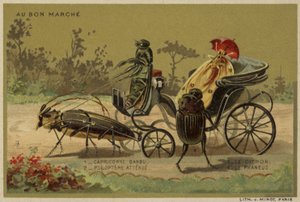 Tarjetas Au Bon Marché con insectos antropomorfos de French School