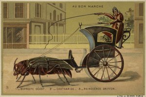 Tarjetas Au Bon Marché con insectos antropomorfos