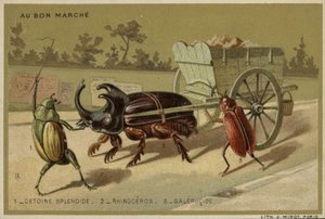 Tarjetas Au Bon Marché con insectos antropomorfos