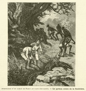 Aventuras de un niño de París en el país de los leones de French School