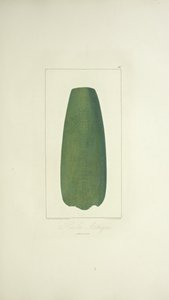 Hacha Azteca, ilustración de 