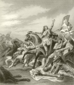 Batalla de Tolbiacum, 496