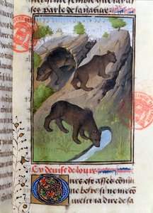 Osos, del Libro de la Caza por Gaston Phébus de French School