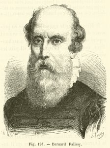 Bernard Palissy de French School