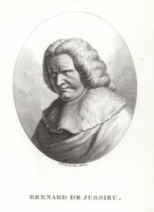 Bernard de Jussieu de French School