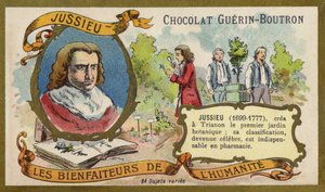 Bernard de Jussieu, naturalista francés de French School