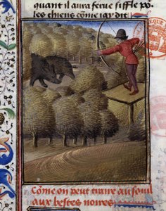 Caza de jabalí con arco - en "Libro de Caza de Gaston Phoebus, Conde de Foix, Señor de Béarn"
