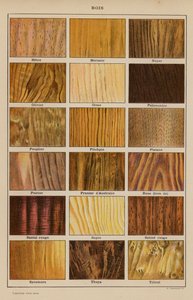 Madera (litografía en color) de French School