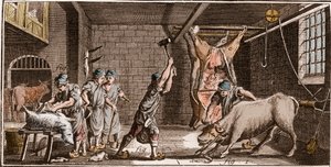 Carnicería - “La Gran Enciclopedia, o Diccionario Razonado de las Ciencias, las Artes y los Oficios” por Denis Diderot (1713-1784) y Jean d
