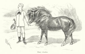 Niño con un pony irlandés