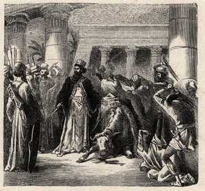 Cambises II, gobernante de los persas aqueménidas mata al Apis, el toro sagrado de los egipcios - Cambises o Cambise II (530-522 a.C.) grabado de "L