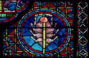 Cáncer, de la ventana del zodiaco, siglo XIII