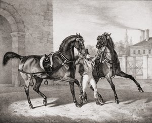 Caballos de Carruaje para el Rey de Inglaterra, 1836