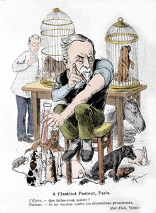 Representación en caricatura del científico Louis Pasteur, inventor de la vacuna contra la rabia, vacunándose contra las condecoraciones prusianas. Publicado en “Der Floh”