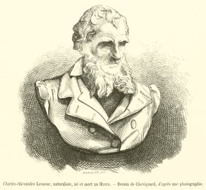 Charles-Alexandre Lesueur, naturalista, nacido y muerto en Le Havre de French School