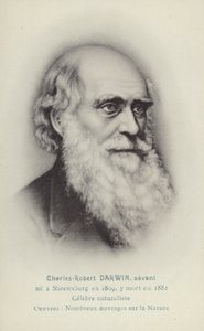 Charles Darwin (1809-1882), naturalista inglés (litografía)