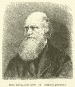 Charles Darwin, fallecido en abril de 1882 (grabado) de French School