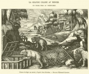 Caza del tigre con espejo