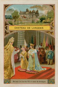 Castillo de Langeais de French School