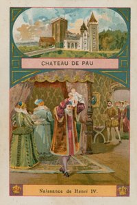 Castillo de Pau