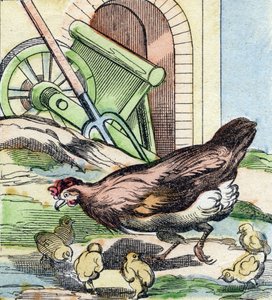 Gallina y pollitos. Grabado en "Buffon Alphabet des Oiseaux n 2". 3ª Serie N 2. Imágenes de Epinal, Epinal, finales del siglo XIX. 16 páginas. de French School