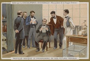 Tarjeta comercial de Chocolat d