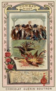 Pelea de gallos