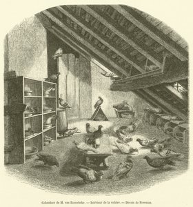 Palomar de M van Roosebeke, Interior de la pajarera de French School