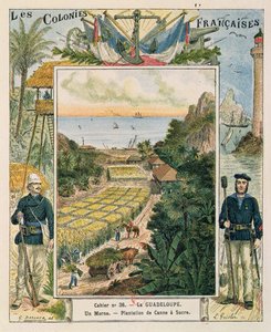 Portada de un cuaderno escolar que representa una plantación de caña de azúcar en Guadalupe, 1892 de French School