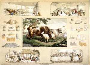 Vaca y sus productos (ordeño, lechería) de French School
