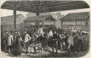 Mercado de carne en la rue des Prouvaires en el I distrito de París - Grabado en “Tableau-de-Paris” de Edmond Texier 1852